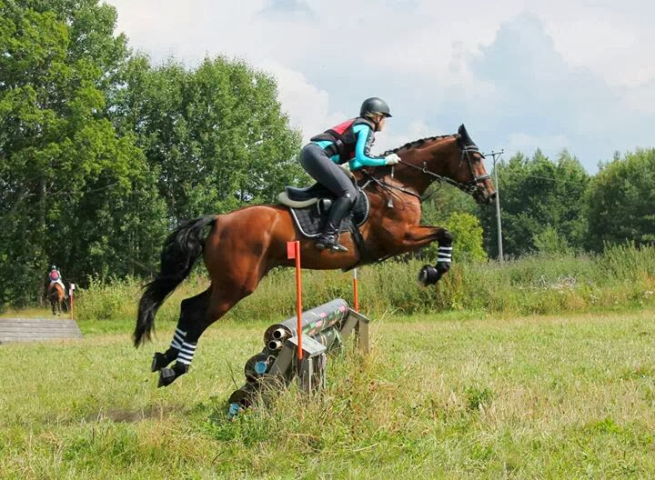 Häst och ryttare i ett terränghopp